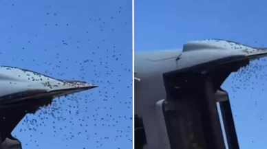 İsrail’de arı istilası! Gökyüzü sarıya büründü