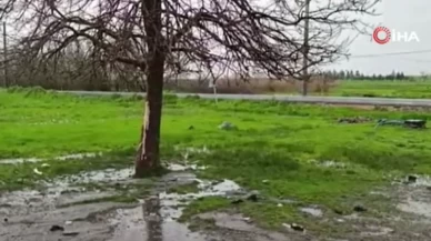 Ergani’deki yıldırım faciasında tanıkların kan donduran ifadesi