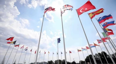 NATO üyesi ülkelerde anket: Ülkeniz için savaşır mısınız?