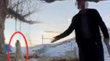 Sosyal medyayı ayağa kaldıran vahşette adalet yerini buldu