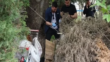 Konyaaltı’nda sır ölüm: Kimliği ‘yüz tanıma’ sistemiyle saptandı!
