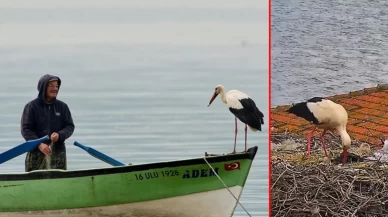 Yaren leylek 15. yılında 5 yavruyla kanat çırpacak