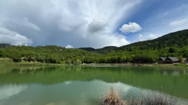 Ormanın kalbindeki 'saklı cennet' ziyaretçi akınına uğruyor!