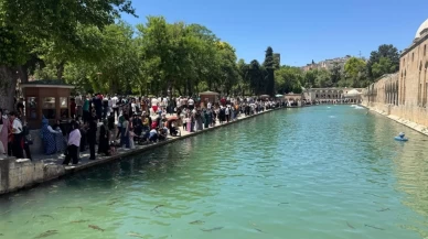 Doğal Akvaryumda iğne atsan yere düşmüyor!