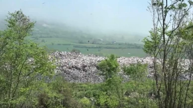 Sinop'ta çevreyi kirleten tesise ceza