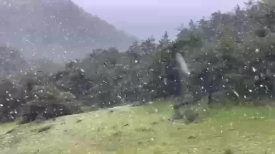 Haziran ayına günler kala kar sürprizi