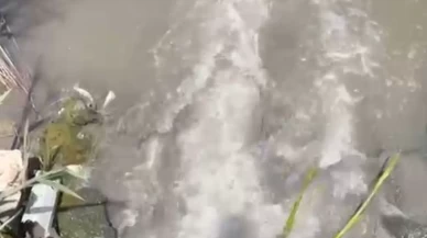 Mogan Gölü'nde atık su skandalı! Bakanlıktan ABB'ye milyonluk ceza