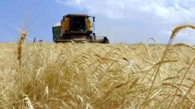 Bakan Yumaklı müjdeyi verdi: Tarımsal destekleme ödemesi bugün yapılacak
