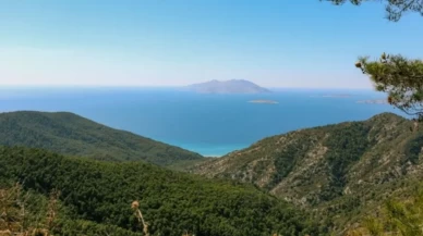 Fiyatı sosyal medyayı karıştırdı