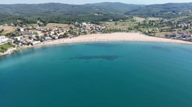 Kocaeli’de 9 plaja birden uluslararası ödül!