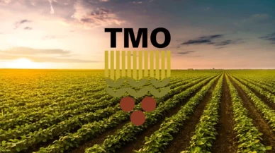 TMO açıkladı: İşte buğday ve arpada alım ve satış fiyatları!