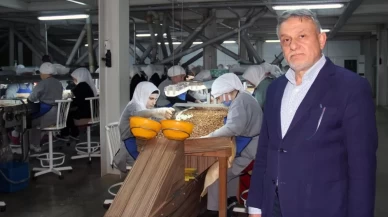 Fındık fiyatlarındaki düşüş sürüyor!