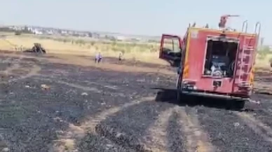 Mardin'deki yangında 40 dönüm buğday arazisi zarar gördü