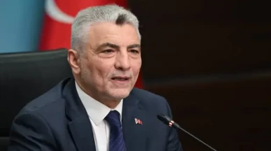 Bakan Bolat'tan vize muafiyeti açıklaması
