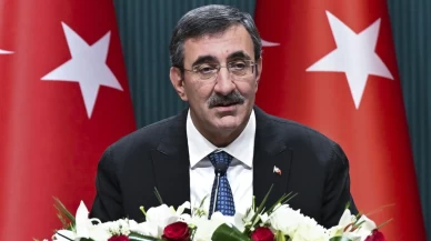 Cumhurbaşkanı Yardımcısı Cevdet Yılmaz'dan şampiyon Fenerbahçe Beko'ya kutlama