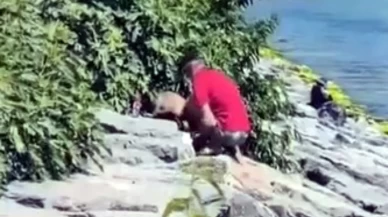 Sosyal medyada tepki çeken görüntüler! Köpeği yumruklayarak darp etti