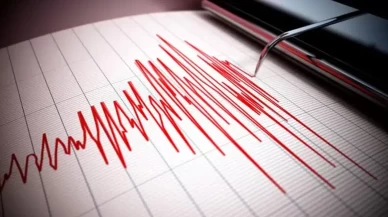 Korkutan depremler sonrası ilk açıklama geldi
