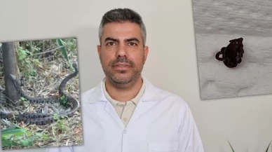 Adana'da sıcaklıklar arttı, yılanlar şehre indi: Uzmanından kritik uyarılar!