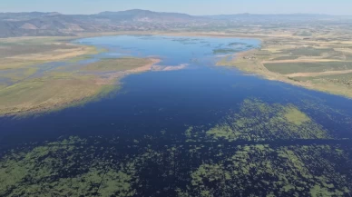 Kuruyan Marmara Gölü yeniden canlandı, kuşlar dönmeye başladı