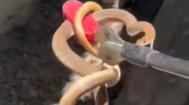 Iğdır'da itfaiye ekipleri harekete geçti!