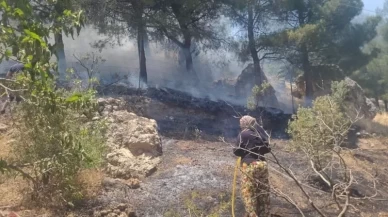 Kahramanmaraş’ta orman yangını!