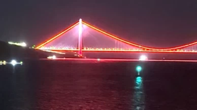 Fren yerine gaza bastı! Otomobil denize böyle battı, o anlar kamerada