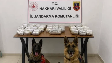 Şemdinli’de narkotik operasyonu: 21 kilodan fazla esrar ele geçirildi