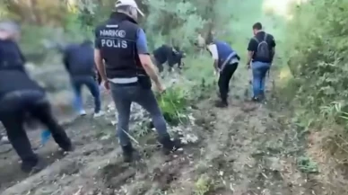 UNESCO listesindeki Hevsel Bahçeleri'nde 12 bin kök kenevir ele geçirildi!