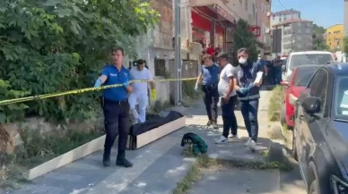 Kedisini arayan kadın çürümüş ceset buldu!