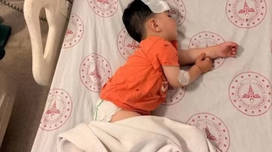 1,5 yaşındaki çocuğa sokak köpeği saldırdı