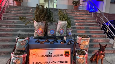 Osmaniye'de dev uyuşturucu operasyonu!