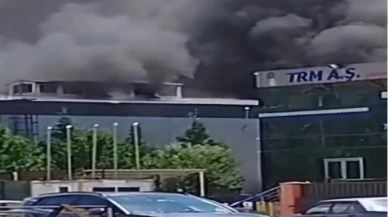 Sakarya'da geri dönüşüm fabrikasında yangın: Ekipler kısa sürede söndürdü