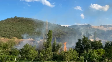 Çorum'da orman yangını: Kontrol altına alındı