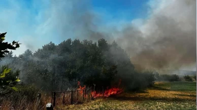Ayvacık’ta otluk alandaki yangına hızlı müdahale
