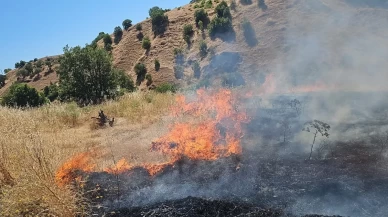 Diyarbakır Dicle'de örtü yangını! Ekipler seferber oldu