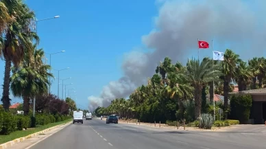 Antalya'da orman yangını!