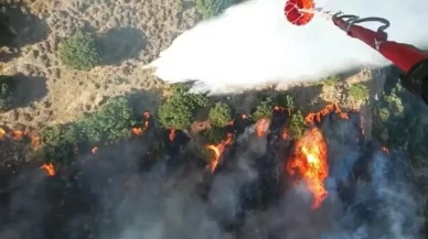 İzmir'de korkutan yangın!