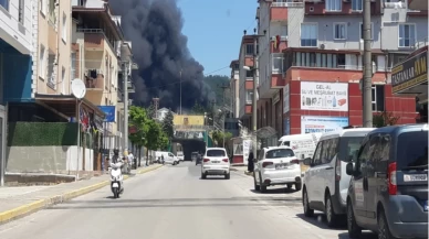 Ambalaj fabrikasında yangın