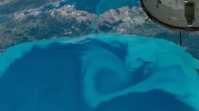 Karadeniz ve Marmara Denizi'nin rengi görenleri şaşırttı