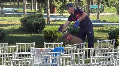 Bakan Göktaş'ın programı öncesi hareketlilik! Parkta bomba araması yapıldı