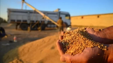 Buğday fiyatlarında rekor yükseliş! Uluslararası piyasalarda son 2 yılın zirvesi