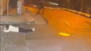 İş yerine kurşun yağdırdı, kaçarken bekçiler tarafından vuruldu