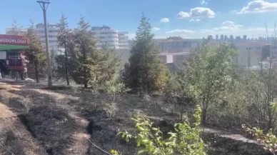 Ankara’da ODTÜ Ormanı’nda çıkan yangın büyümeden söndürüldü