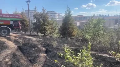 Ankara’da ODTÜ Ormanı’nda çıkan yangın büyümeden söndürüldü