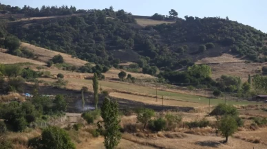 Balıkesir'de orman yangını!