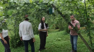 Trabzon öncülüğünde uluslararası tarım projesi: İstilacı türlere karşı 3 ülke ortak teknolojik kalkan oluşturuyor