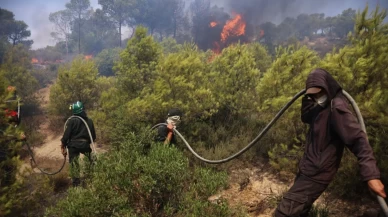 Orman sabotajcıları kameraya yakalandı