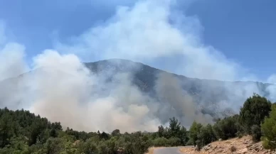 Akseki’deki orman yangını 18 saatte kontrol altında