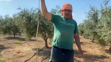 Serik'te 'yılanı ben öldürdüm' videosu başını yaktı: 22 bin liralık cezaya itiraz etti
