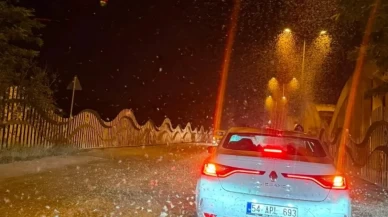 Milyonlarca kelebeğin son dansı kamerada